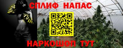 дмт Кинель