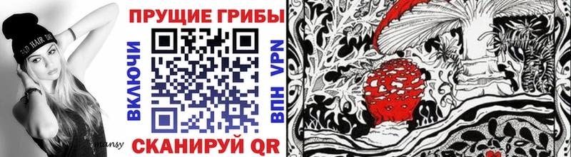 Галлюциногенные грибы Psilocybine cubensis  Унеча 
