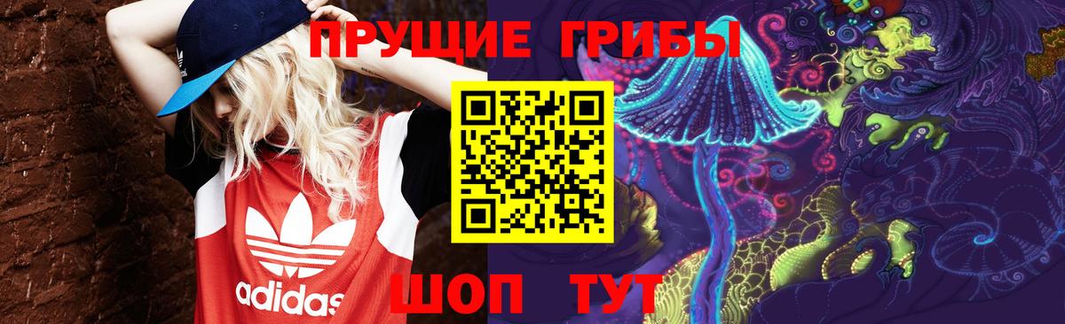 Унеча  Псилоцибиновые грибы мицелий  Вход с VPN  Галлюциногенные грибы Cubensis 