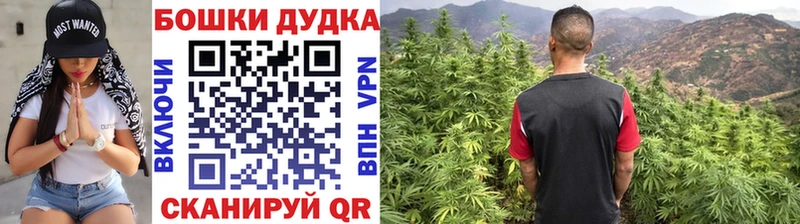 сколько стоит  Унеча  Бошки марихуана Amnesia 